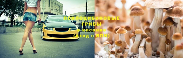 эйфоретик Богородицк